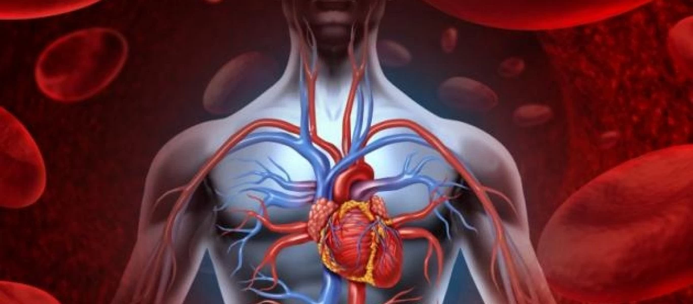 Αυτό είναι το γλυκό που καθαρίζει τις αρτηρίες!